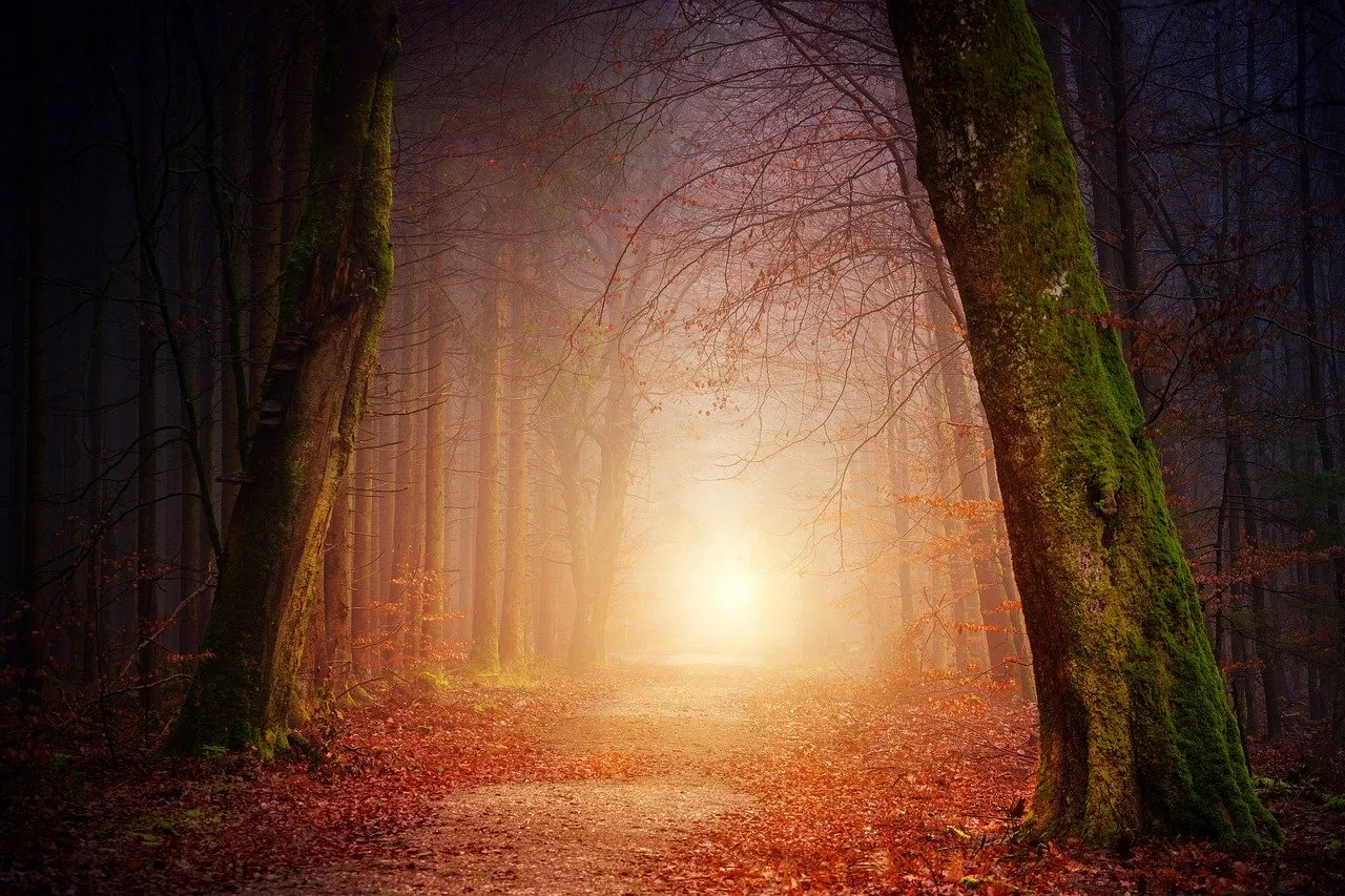 5 Tips On Divorce From A Psychological Perspective: Finding Light At The End Of The Tunnel