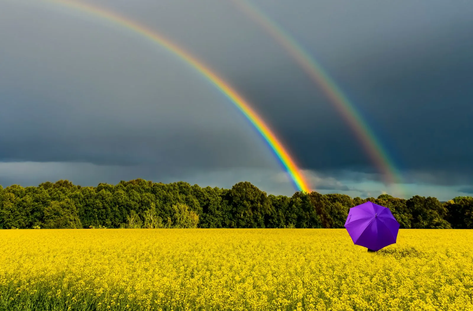 Divorce Doesn’t Need To Be A Battle