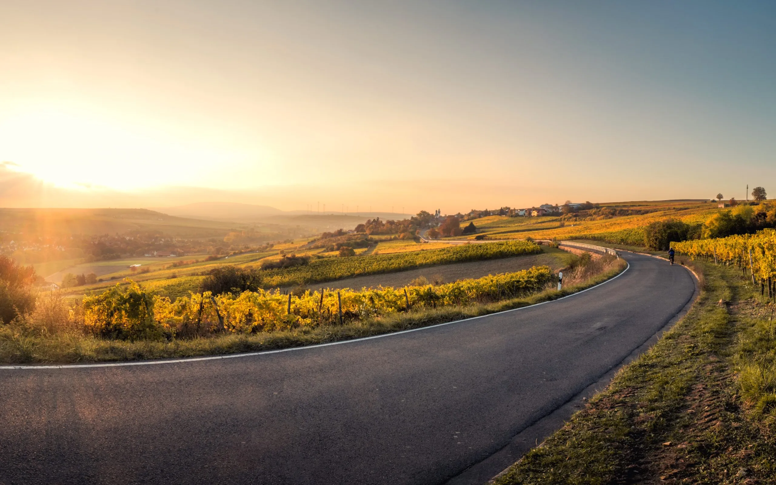Family Law - Looking Ahead to 2021