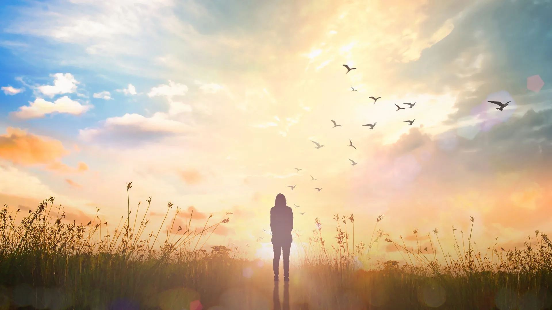 Further Research Shows Damaging Impact Of Court Proceedings On Children’s Mental Health