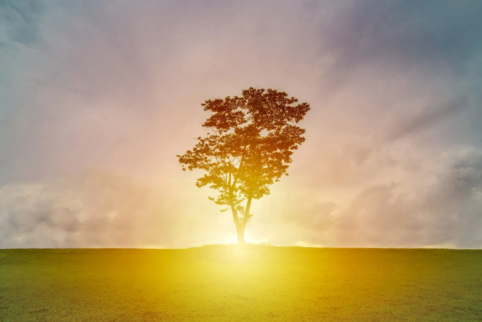 How We Help Couples With No Fault Divorce
