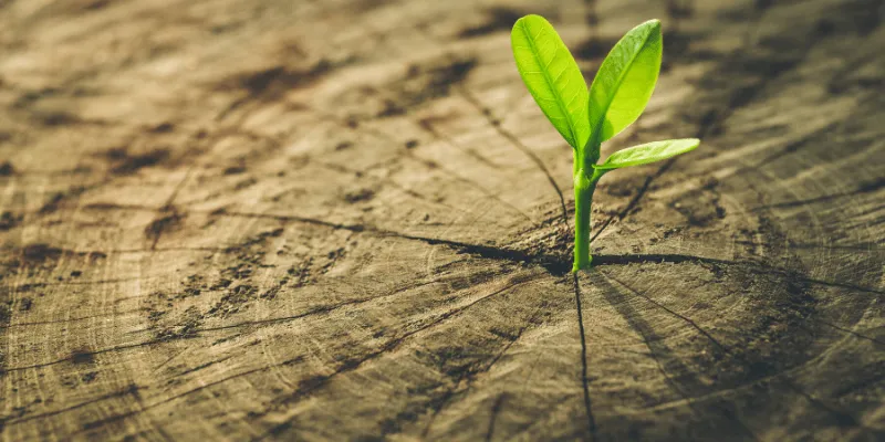 Is A 60 Year Marriage The Gold Standard?