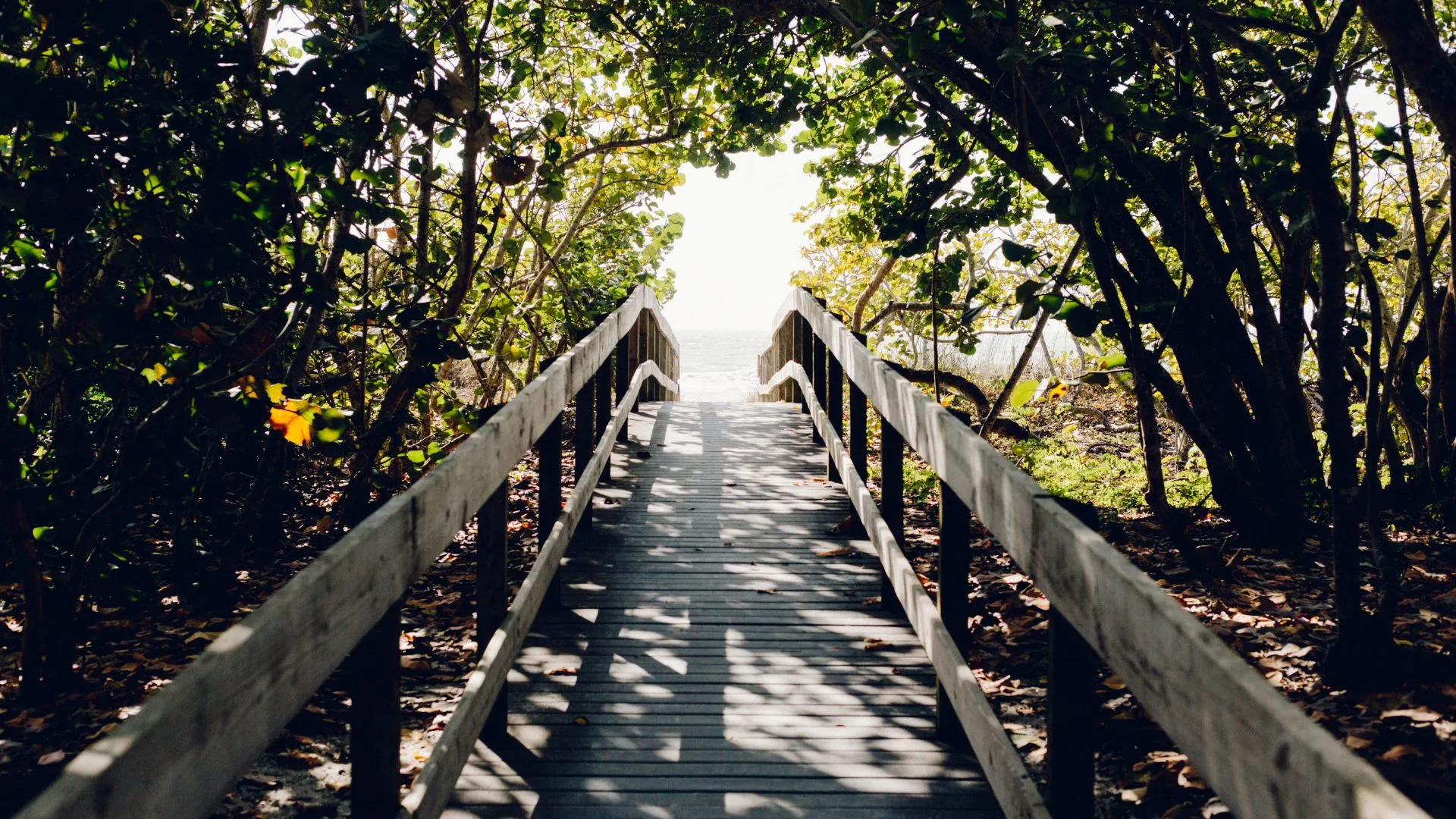 Is It A Choice Between A Good Divorce Or Getting Legal Advice?