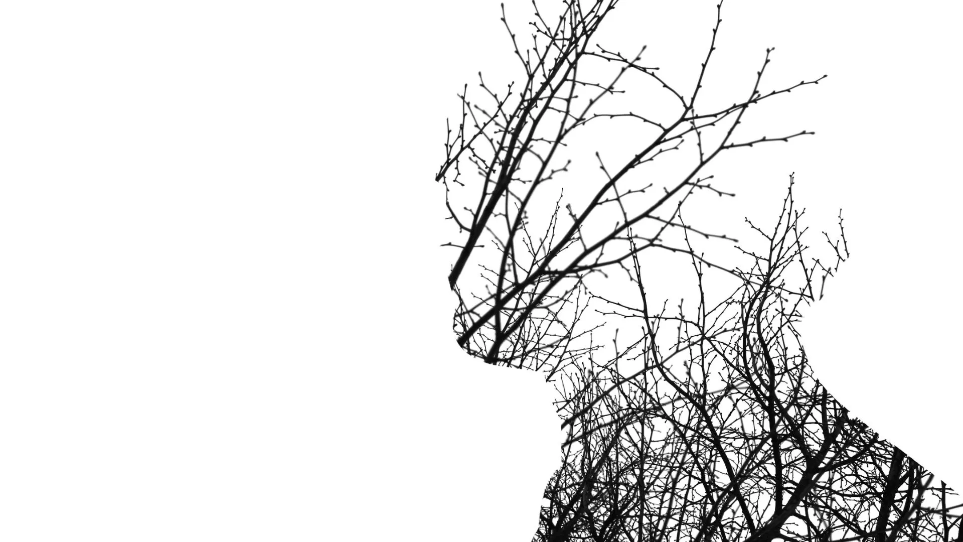Normalising Stress and Divorce