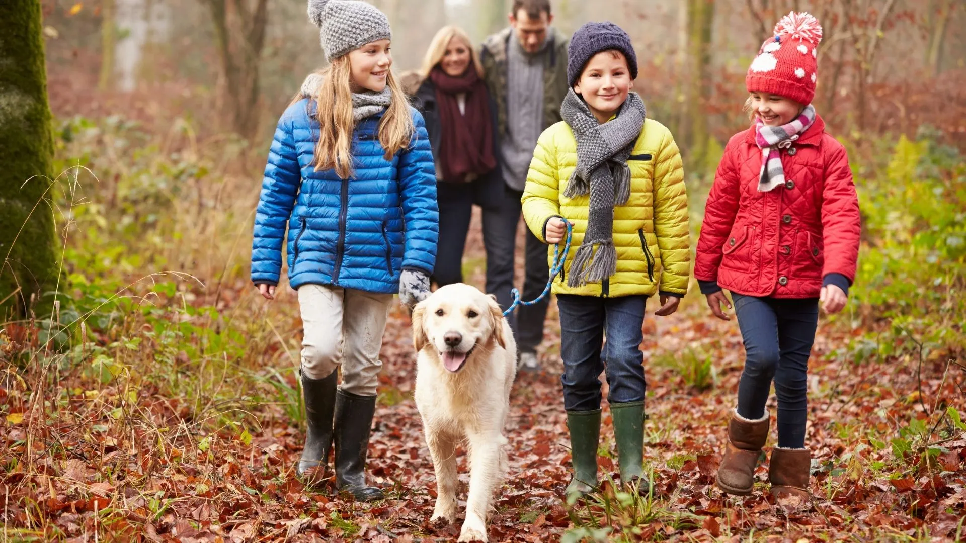 What Is A Blended Family?