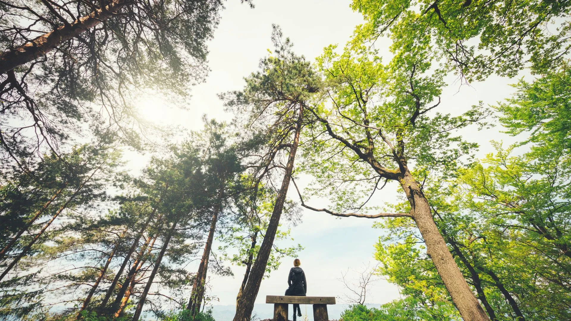 What Is The Biggest Mistake You Can Make On Divorce?