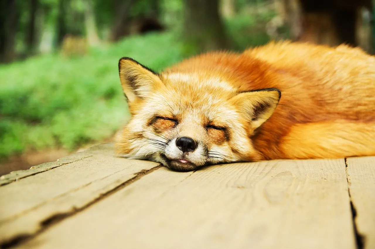Why We All Need A Break