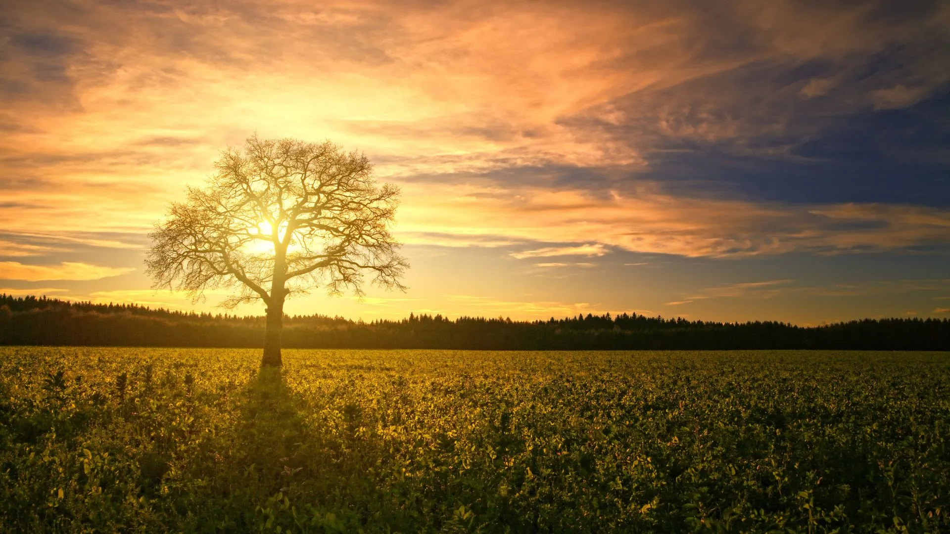 Will My Former Spouse Have Any Claim Against My Inheritance?
